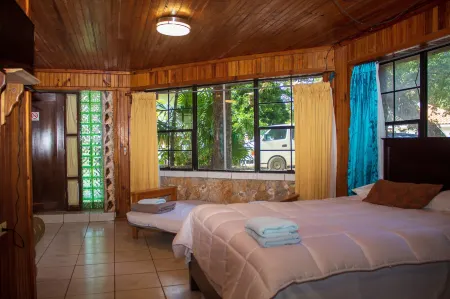 Coconut Tree West Bay