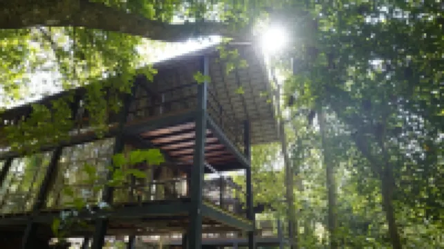 Clio Ella Resort Hotels in 