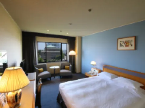 โรงแรมนิว โอทานิ ซากะ โรงแรมในซากา