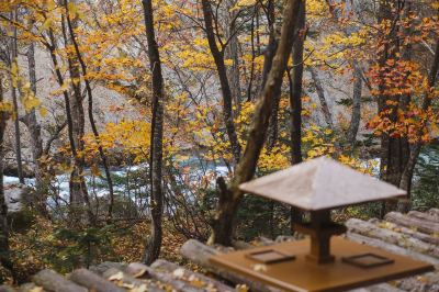 ホテル周辺 層雲峡温泉 朝陽リゾートホテルの写真