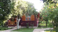 Mercan Bungalow - Bed and Breakfasts