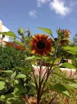 Agroturismo Xarc