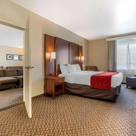 Comfort Inn & Suites Galt - Lodi North