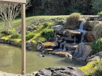 Awesome Cottage, Views, Waterfalls, Cute animals, streams, privacy, easy access