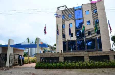 Dolphin Chocolate Inn