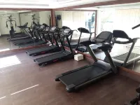 Chanakya Bnr Hotel - gimnasio