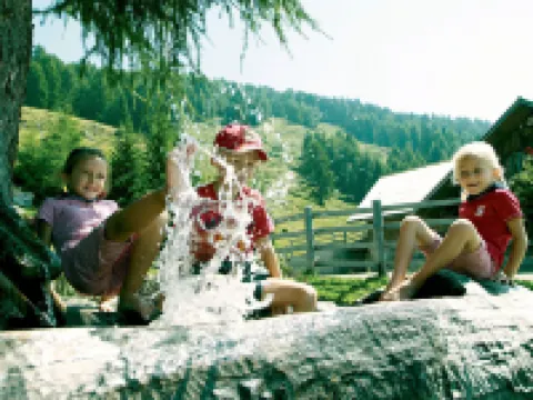 Familienhotel Steindl Hotels in Millstatt