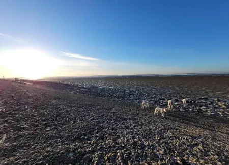 Spacious Bungalow Near the Frisian Lakes Отели в г. De Friese Meren