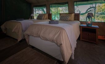 Nkwe Safari Lodge