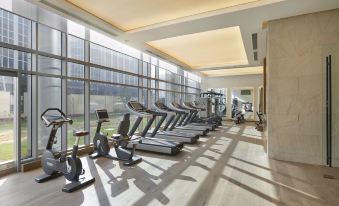Hyatt Delhi Residences