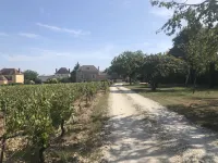 Gîte Celine et Frederic Gueguen Hotels in Nitry