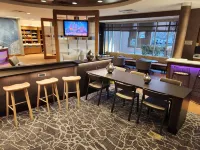 SpringHill Suites Dallas Lewisville - bar