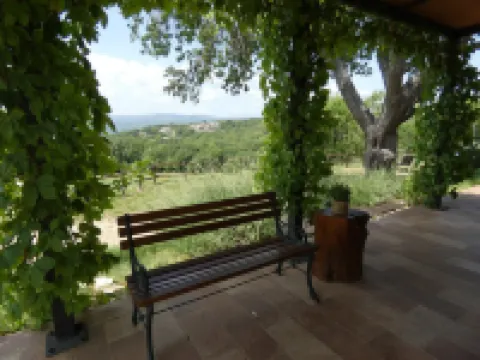 Scappo in Umbria, le Salce