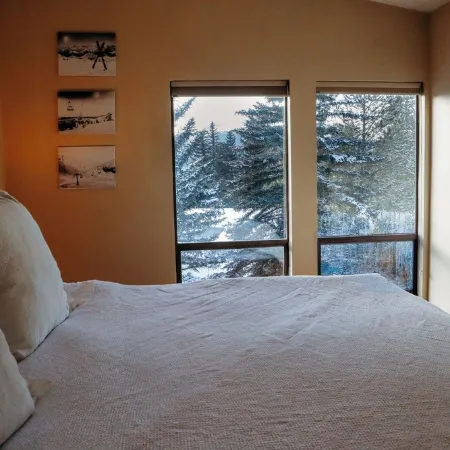 Comfortable Mountain Condo Close to Everything!