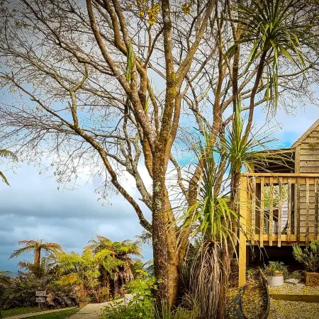 Te Tiro Accommodation