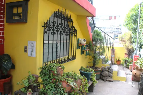 Habitaciones Eco-Terrazas - Homestays