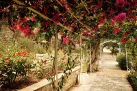 Agali Hotel Paxos Hotels in 