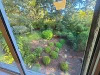 Loft at Sparton Acres