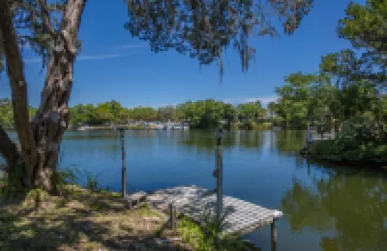 Welcome to the scallop shack! Newly renovated and on the water in Crystal River!