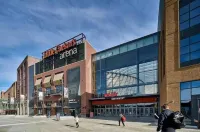 Perfect for a couple with a dog – No cleaning fee