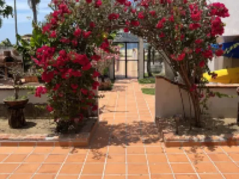 Spacious one bedroom oceanfront apartment Hotels in Compostela