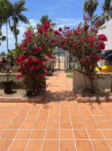 Spacious one bedroom oceanfront apartment