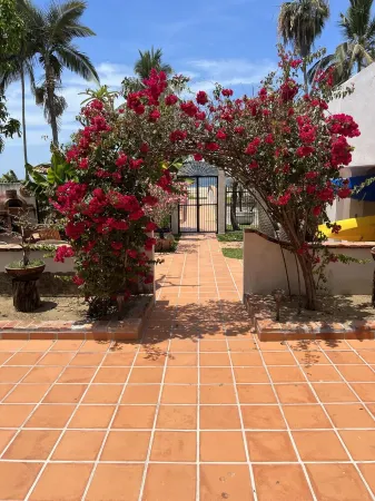 Spacious one bedroom oceanfront apartment