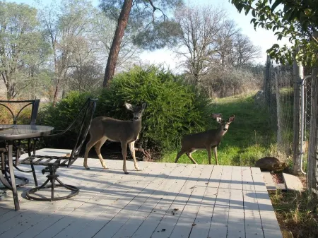 A  Great Riverfront Retreat With Stunning Views--Unlike Any in the County Отели в г. Ранчо Калаверас