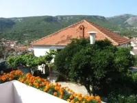 Apartment in garden 400m from the sea Hotels in Jelsa
