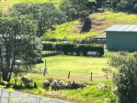 Classic Kiwi Bach In Blissful Urquhart Bay - Relax and Recharge โรงแรมใน
