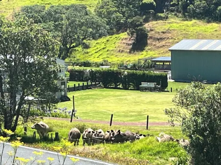Classic Kiwi Bach In Blissful Urquhart Bay - Relax and Recharge