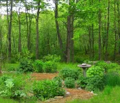 Chalet Romantique Hotels in Sutton