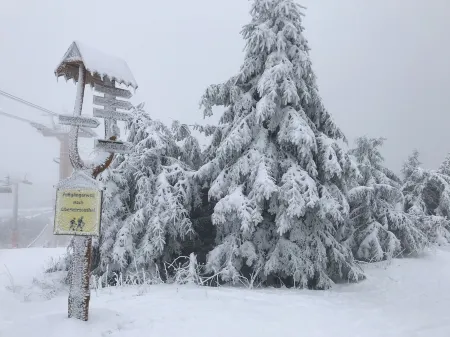 Vacation in the sky mill Отели в г. Визенбад