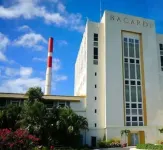 2 room apt, billiard, netflix, in gastronomic route, near the beach.