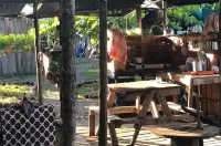 Miguel Surf Camp