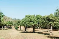 Hotel Can Sastre - Villas