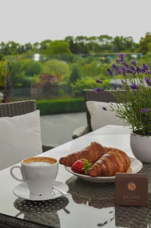 Hotel Saline Отели в г. Иновроцлав