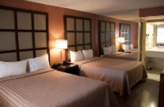 Motel la Siesta Hotels in 