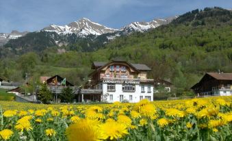 Hotel Alpenrose Beim Ballenberg