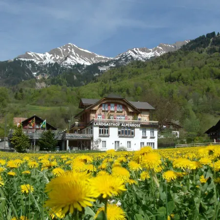 Hotel Alpenrose Beim Ballenberg