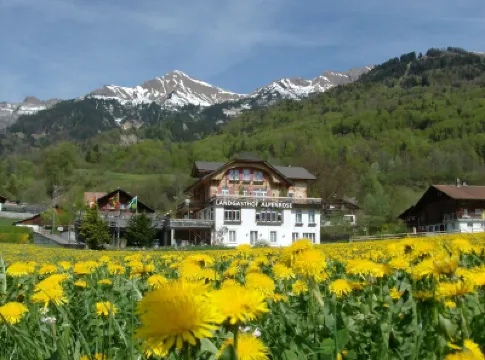 Hotel Alpenrose Beim Ballenberg Hotels in 