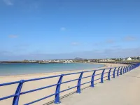 Llwyn Eithin