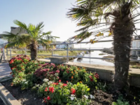 レースサイド コテージ ミロムのホテル