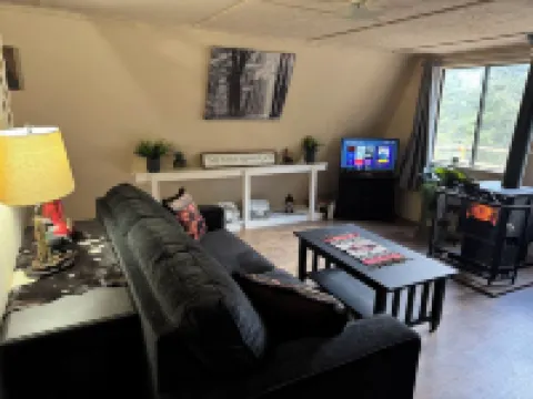 Cozy Bear Den