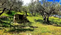 I 3 Falchi Bed & Breakfast Hotels in Province of Chieti