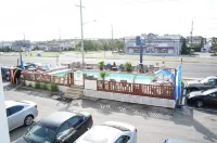 Sea Horse Motel Hotels in Ship Bottom