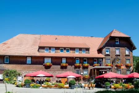 Gasthaus Adler Fohrenbühl Отели в г. Шенкенцелль