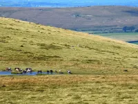 Tor Lodge Hotels in Okehampton