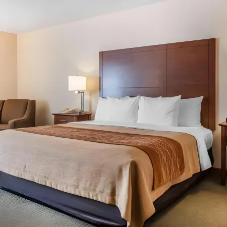 Comfort Inn Salida