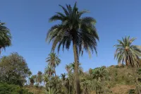 Hari Niwas - A Boutique Garden Resort Mount Abu - Bergblick